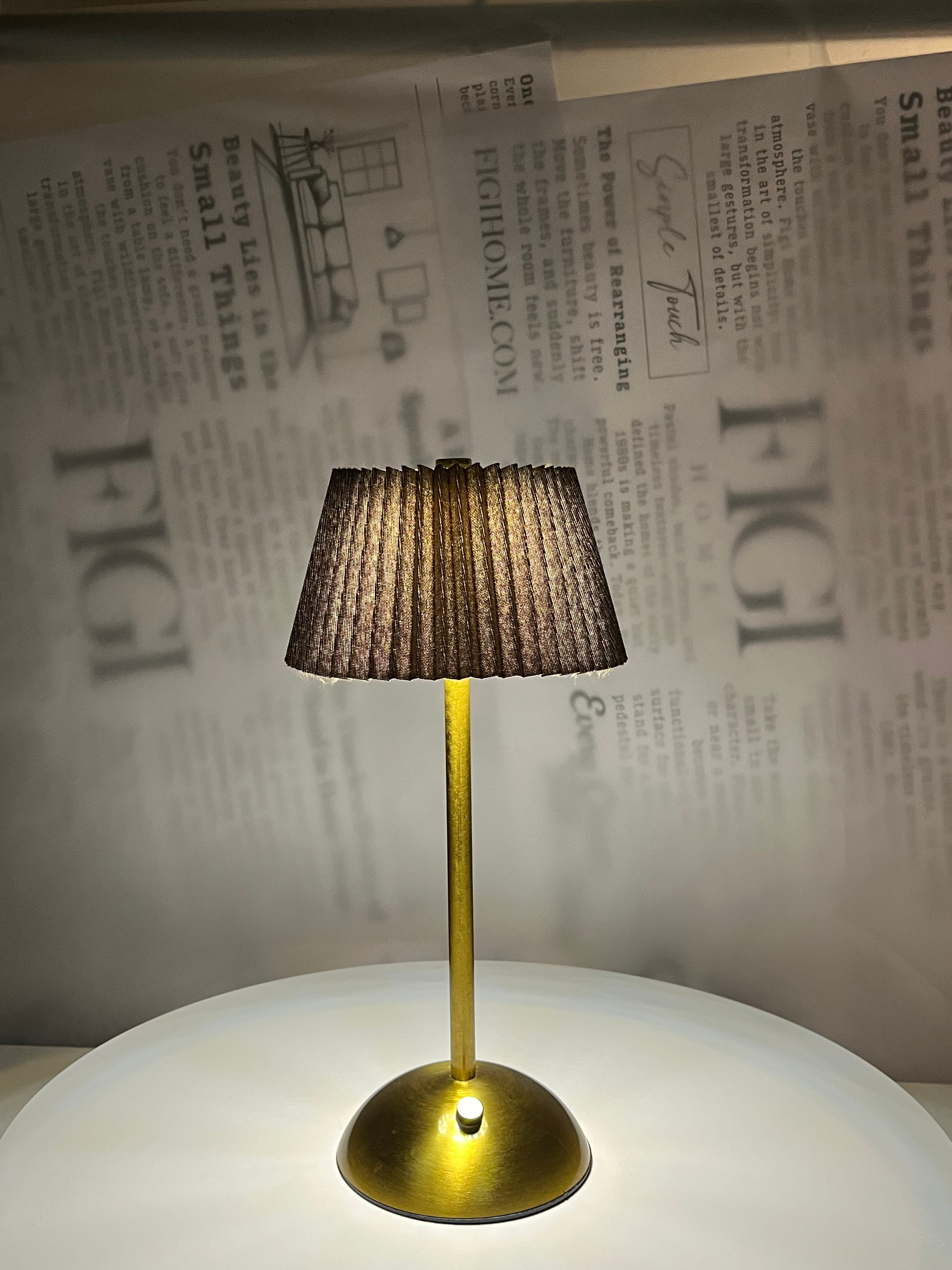 NOIR Pleated Brass Lam