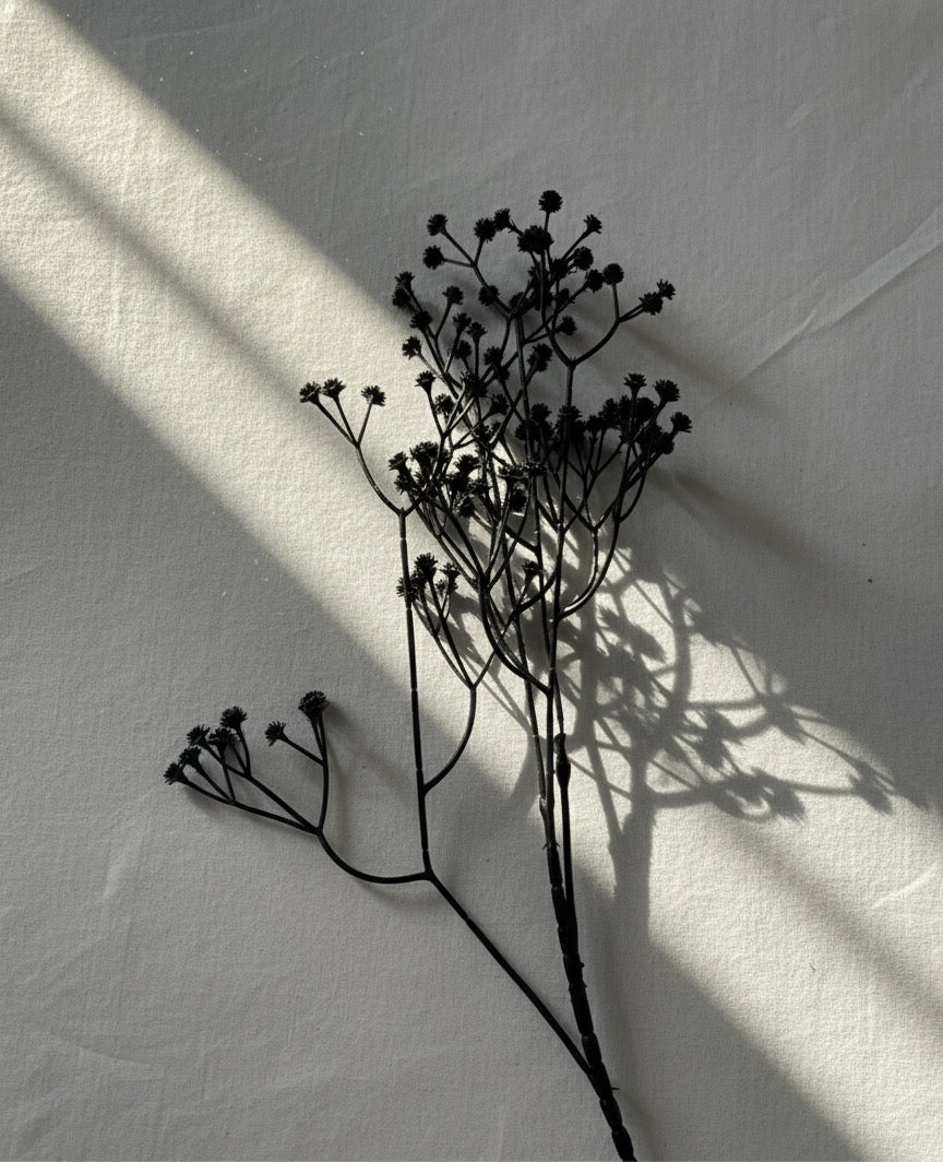 Noir Blossom Stem