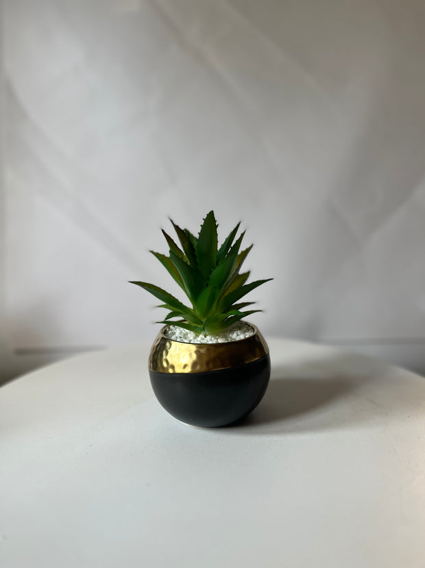 Mini Gold Succulent Pot