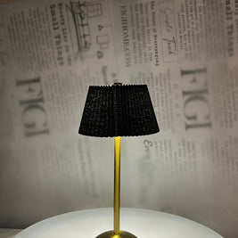 NOIR Pleated Brass Lam