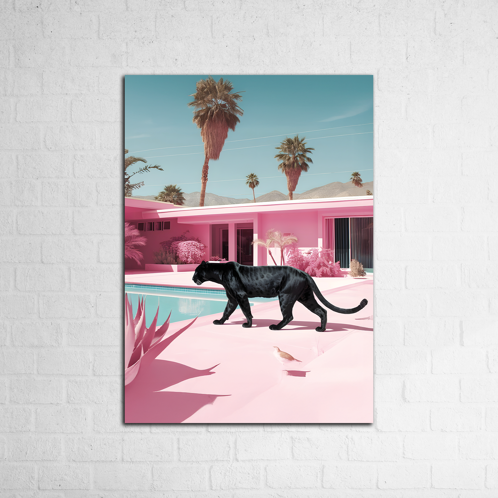 Pinky World - Figi Home