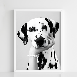 Pearl Gaze - Figi Home