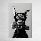 Alpha Instinct - Figi Home