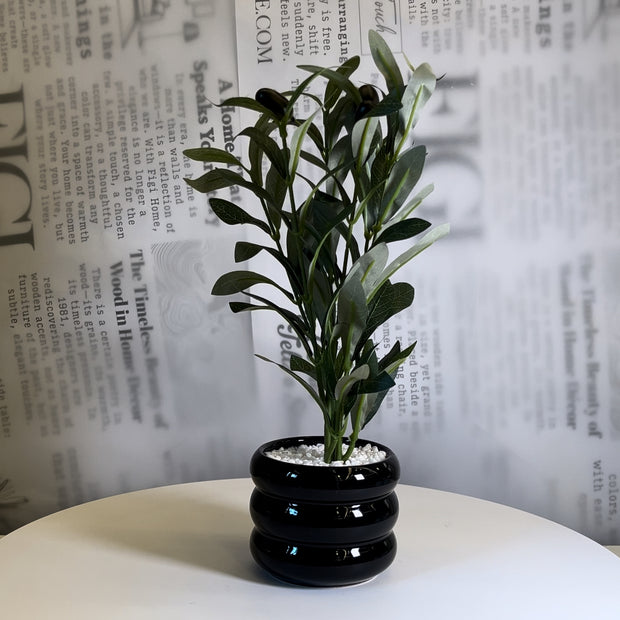 Midnight Olive Planter - Figi Home