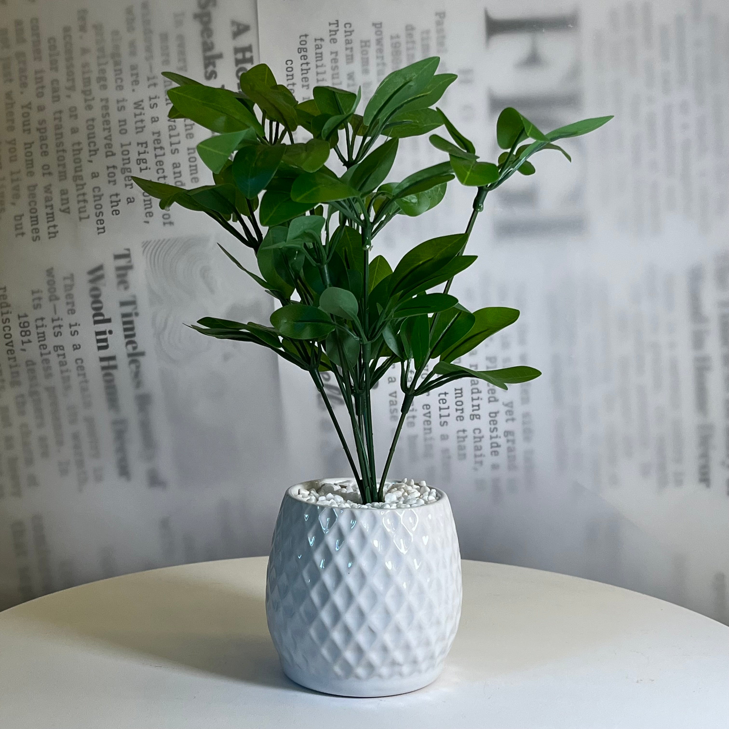 Diamond Leaf Planter - Figi Home