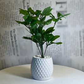 Diamond Leaf Planter - Figi Home