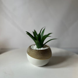 Mini White & Gold beaded Succulent Pot