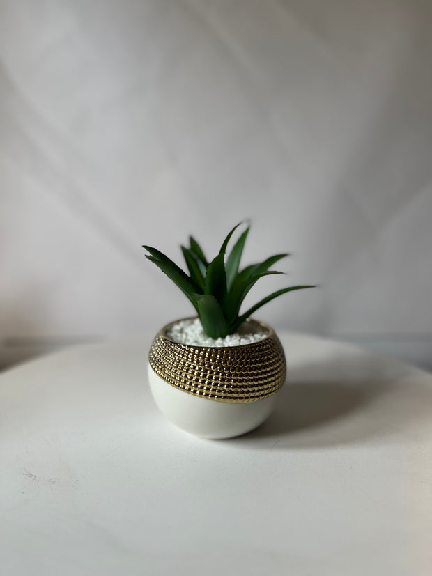 Mini White & Gold beaded Succulent Pot