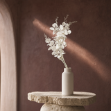 Muted Eucalyptus Stem