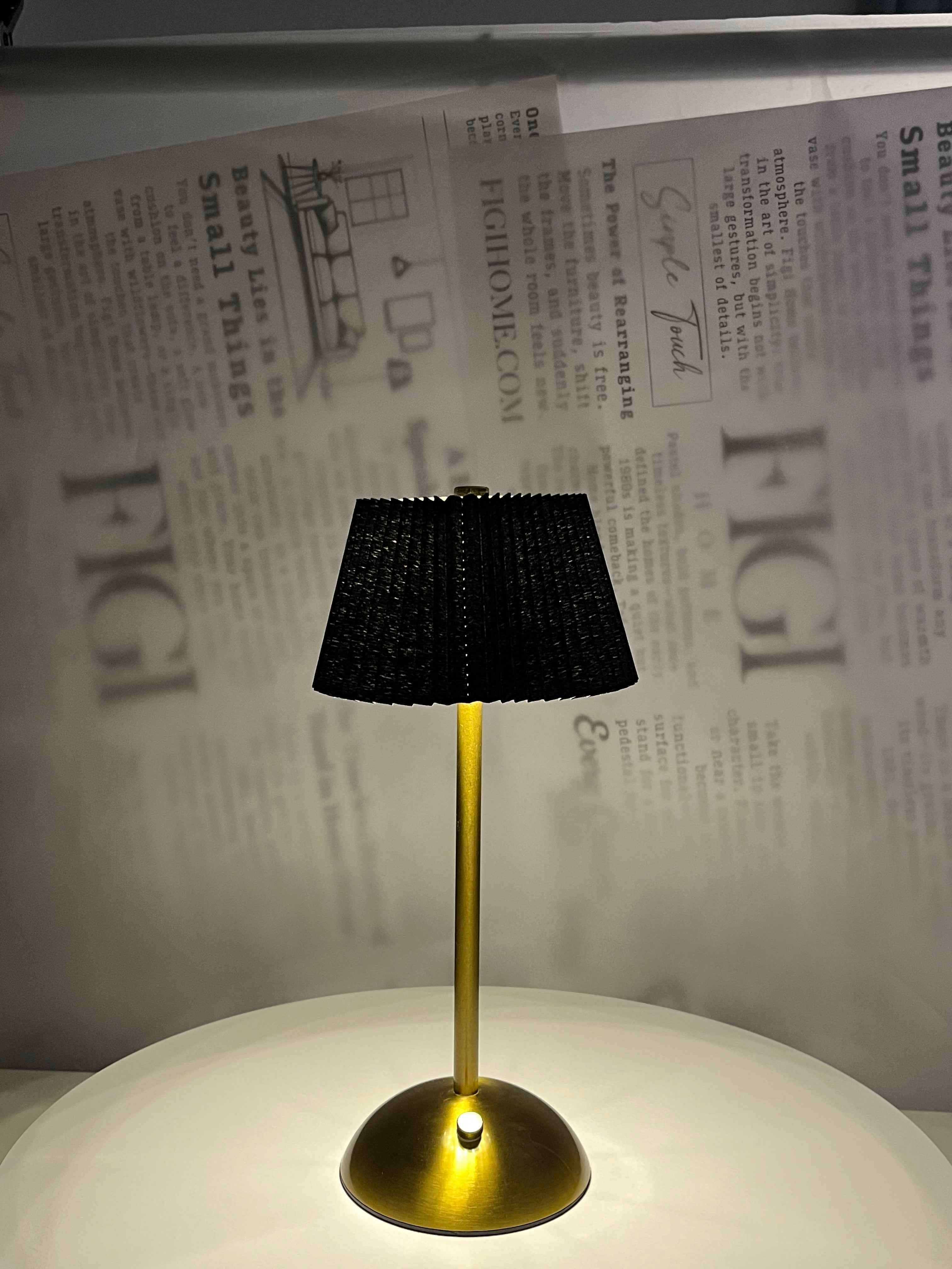 NOIR Pleated Brass Lam
