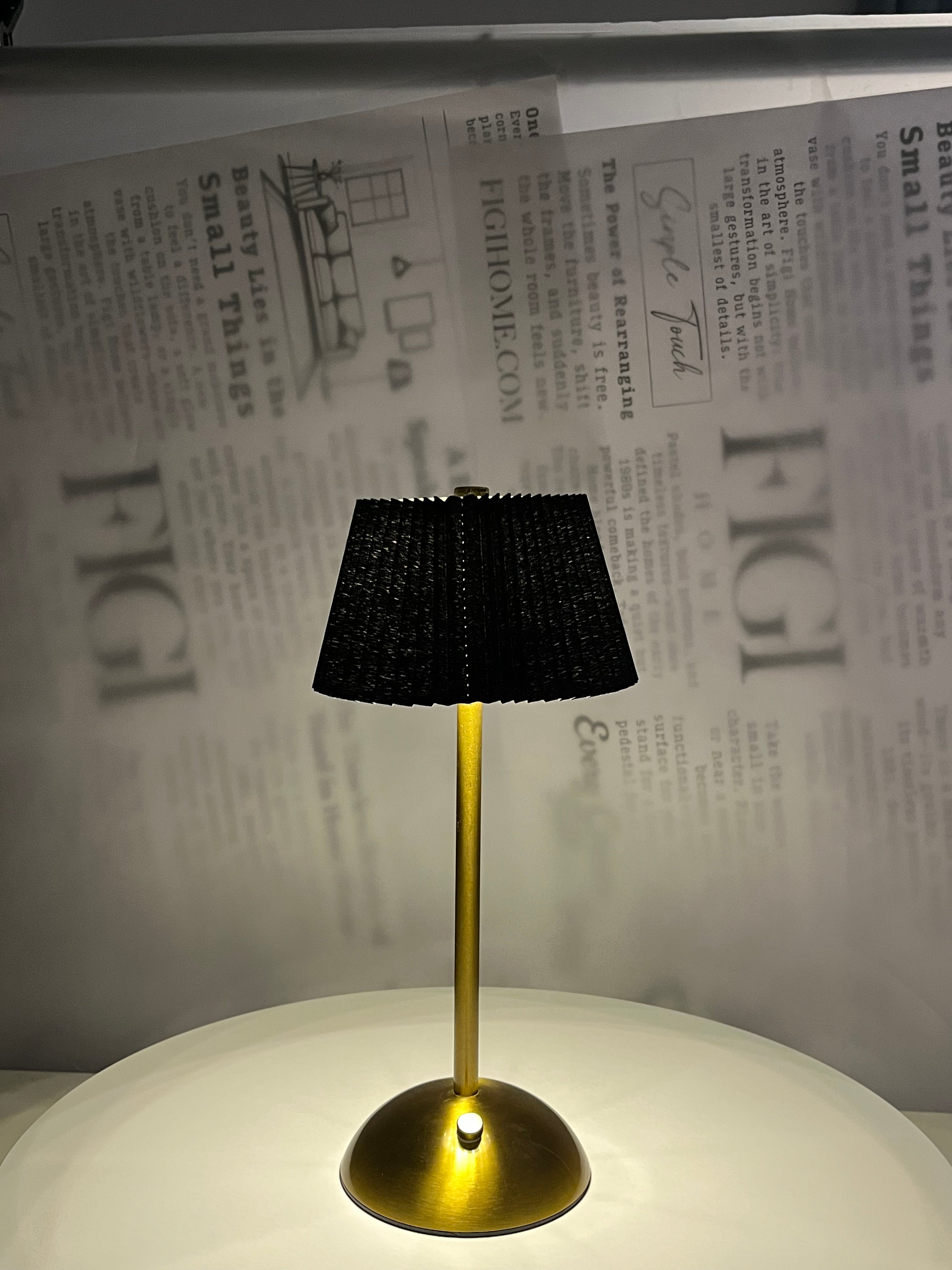 NOIR Pleated Brass Lam