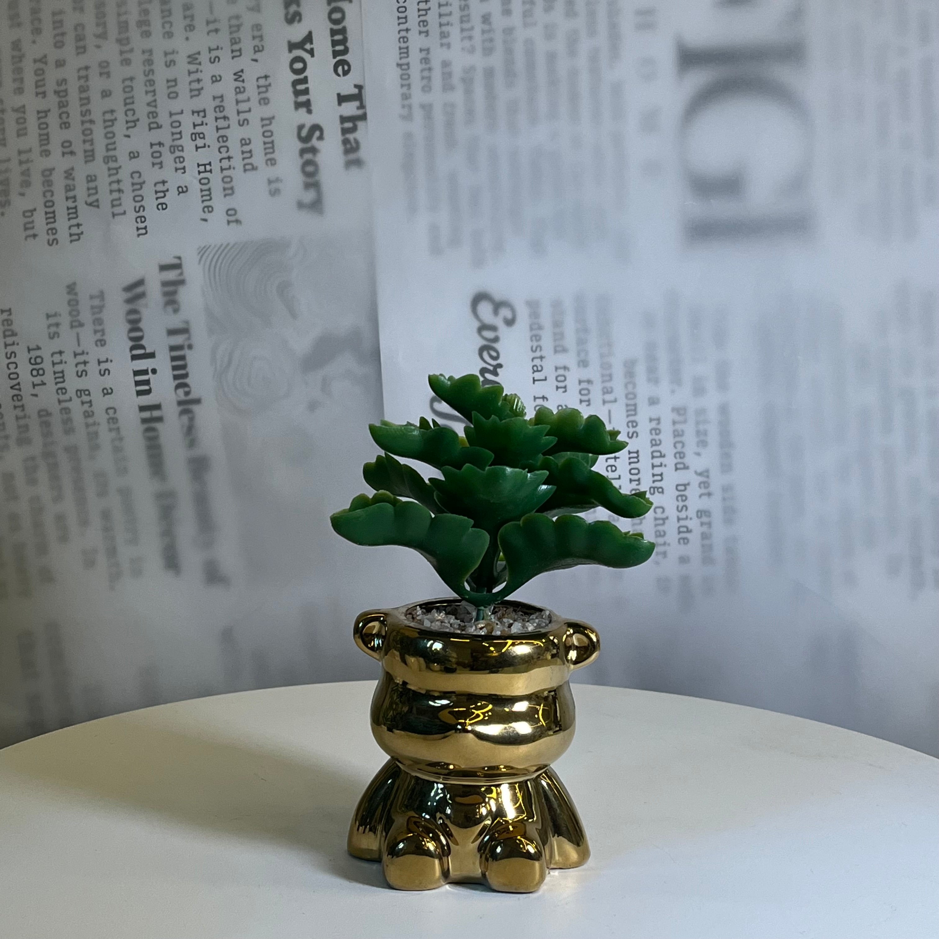 Mini Gilded Bear Plant - Figi Home