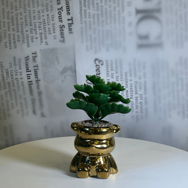 Mini Gilded Bear Plant - Figi Home