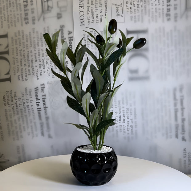 Obsidian Olive Planter - Figi Home