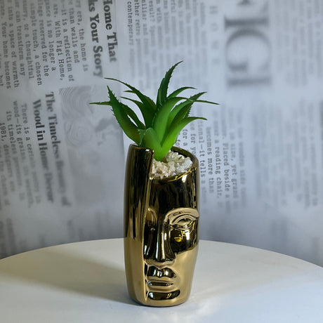 Abstract Face plant - Figi Home