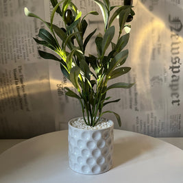 Fallen Olive Accent - Figi Home