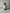 Luna Pedestal Planter