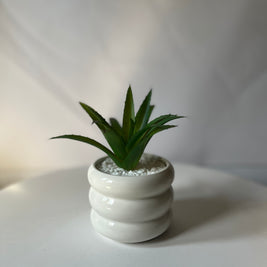 Novi Curve Planter
