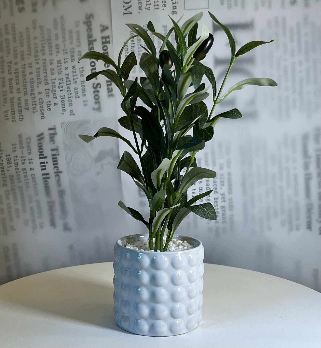 Ivory Bubble Olive - Figi Home