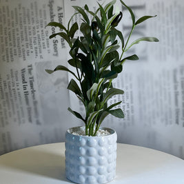 Ivory Bubble Olive - Figi Home