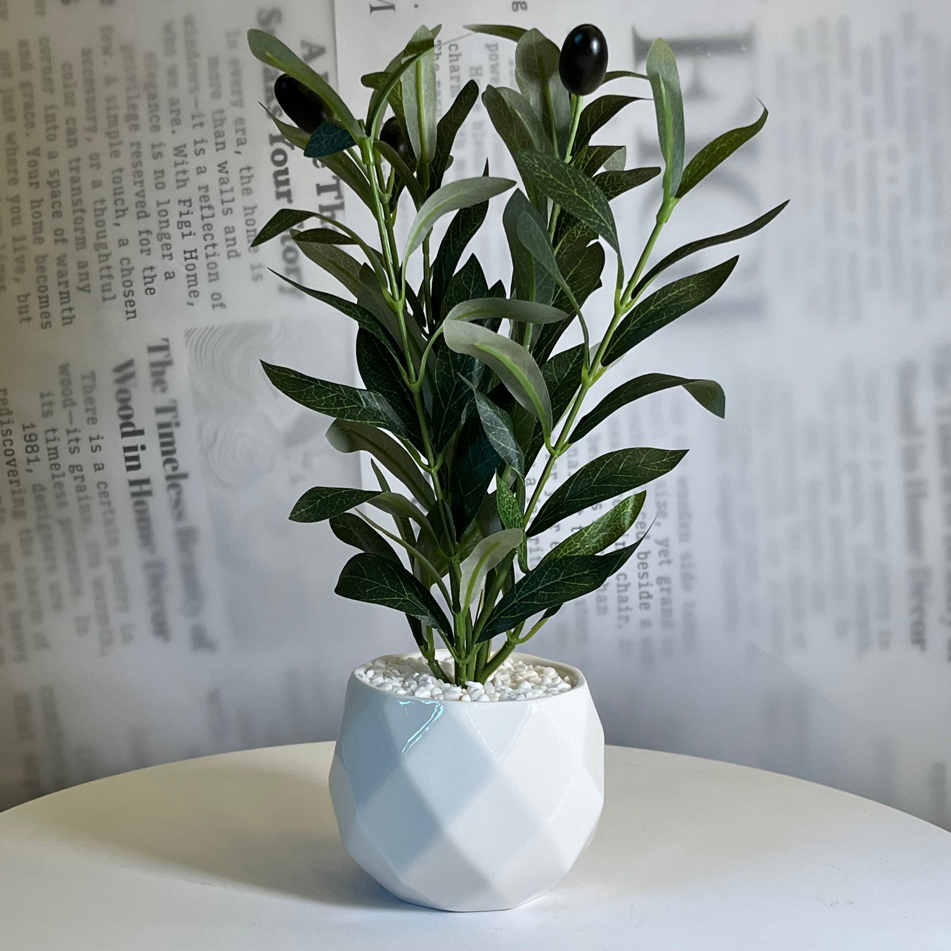 Olive Touch Planter - Figi Home