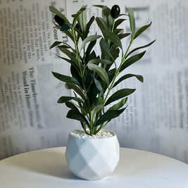 Olive Touch Planter - Figi Home