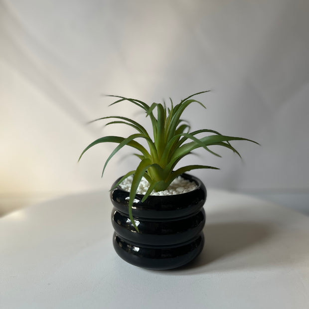 Novi Curve Planter