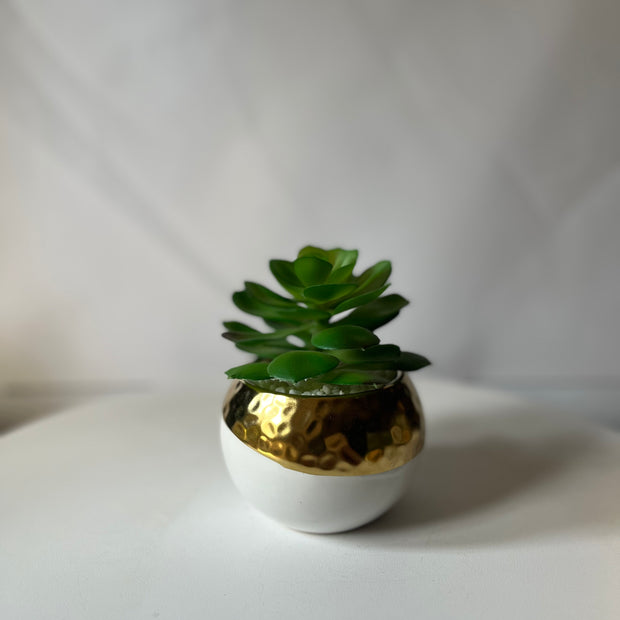 Gold Rim Succulent Pot