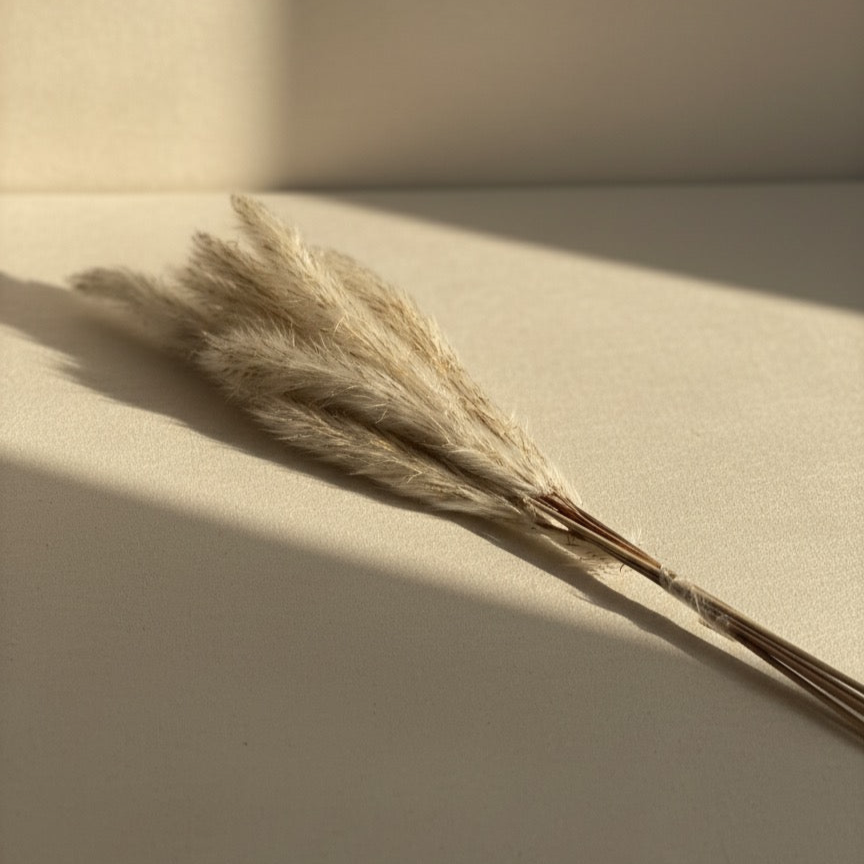 Pampas Stems