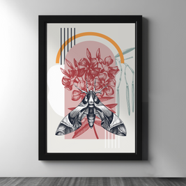 Botanical Geometry Trio