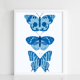 Blue Butterflies Trio