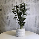 Midnight Olive Planter