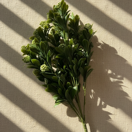 Verdant Cluster Stem