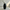Serenity Bloom Stem