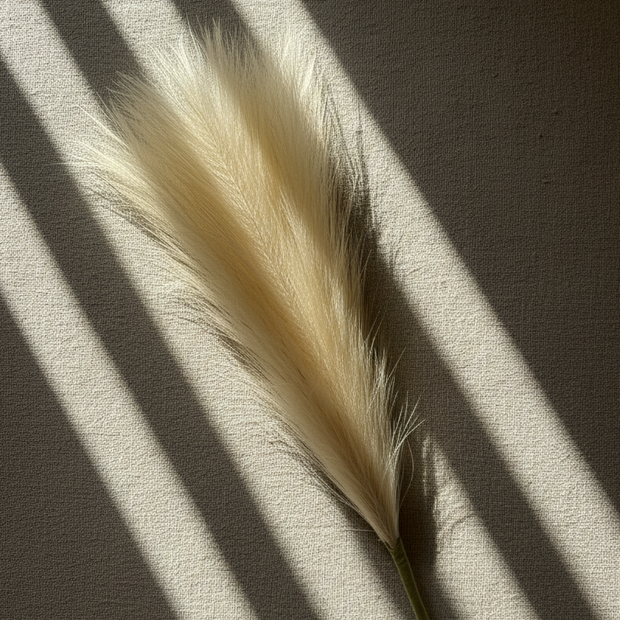 Tall Pampas Grass Stem