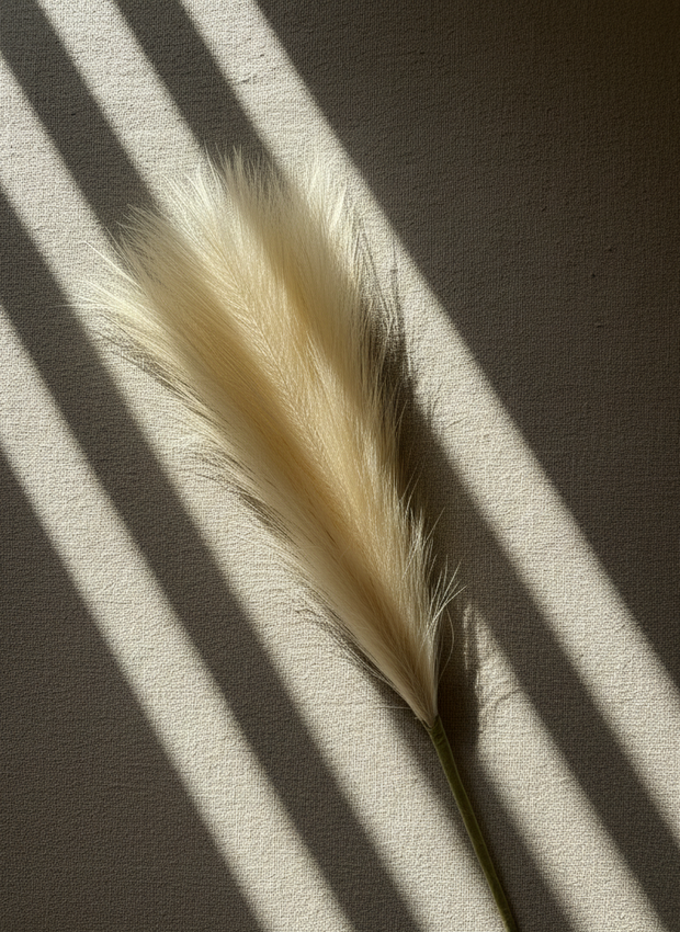 Tall Pampas Grass Stem