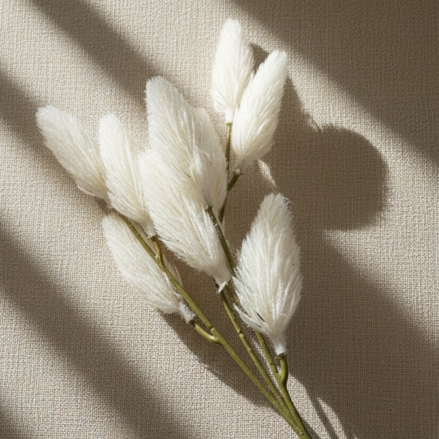 Ivory Feather Grass Stem