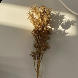 Auric Fern Spray