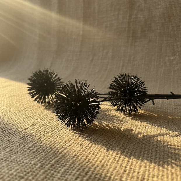 Noir Thistle Stem