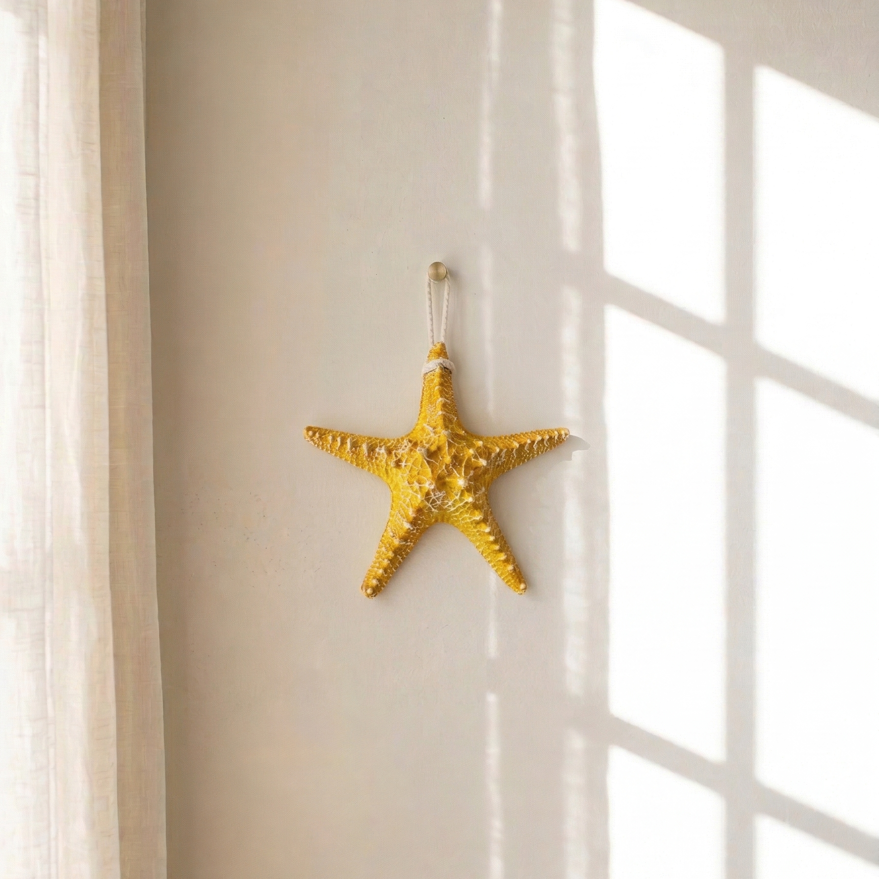 Starfish Wall Hanging