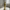 The Golden Wanderer Figure