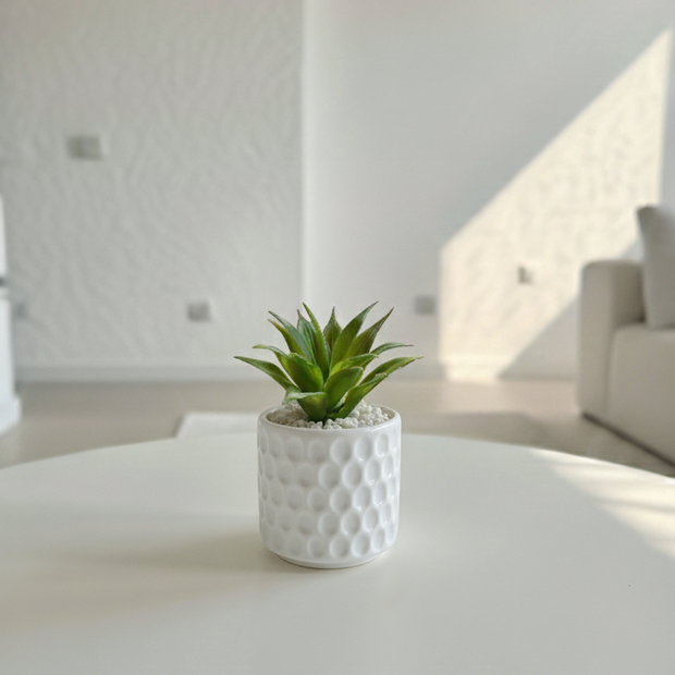 Pebble Pot decorative plant