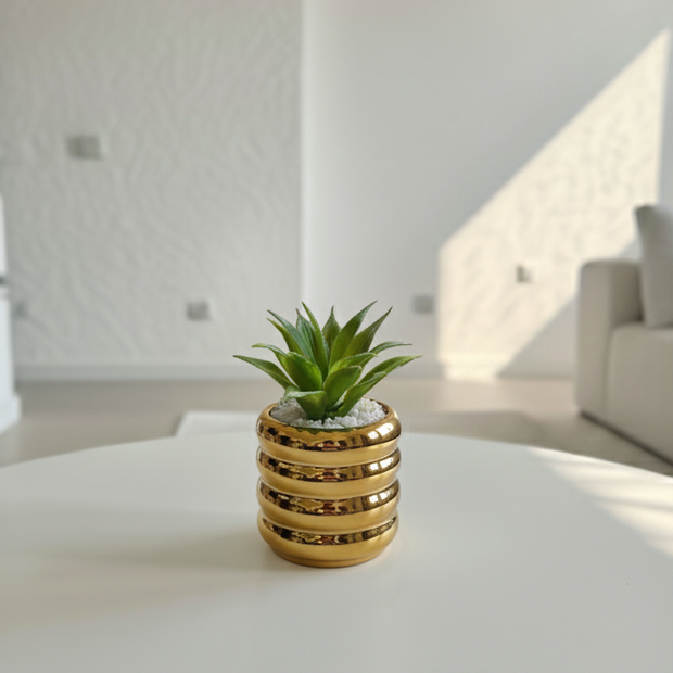 Ribbed Glow decorative plant