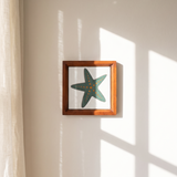 Starfish Tile Frame