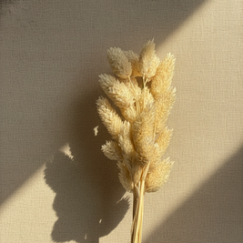 Golden Harvest Stems