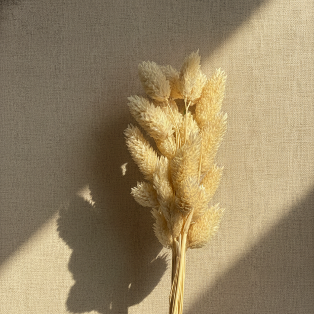 Golden Harvest Stems