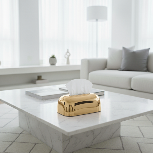 Luxe Chrome Tissue Box