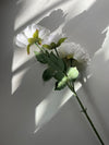 White Peony Floral Stem - Figi Home