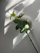 White Peony Floral Stem - Figi Home