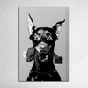Alpha Instinct - Figi Home